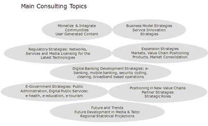 5CCG Main Consulting Topics - Click to enlarge